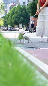 26K views · 191 reactions |  HTVRONT H17 Phone Case Heat Press -...