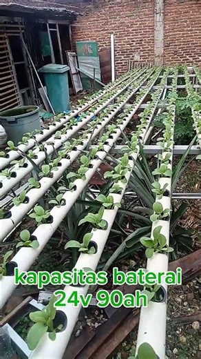 plts hidroponik system nft #hydroponics #hidroponik #pltsoffgrid