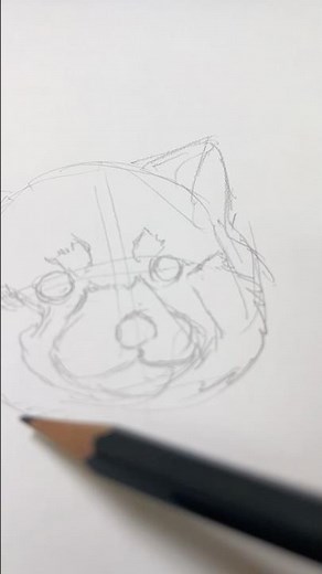 初心者でも描ける！レッサーパンダ お絵描きチャレンジ Cute Red Panda Drawing #イラスト #pencildrawing