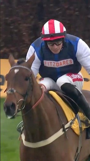 The Jukebox Man - will he win the Cheltenham Gold Cup? ❓