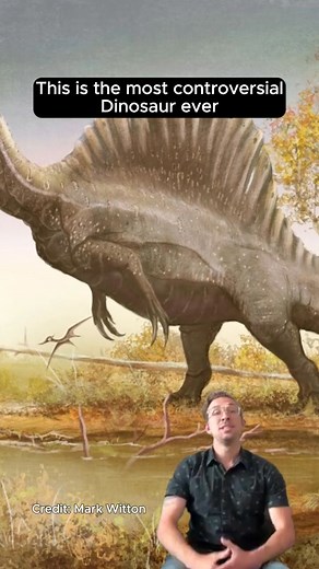 Paleontologists are still arguing about how this dinosaur actually lived I teamed up with Unexpected Dino Lesson to break down both sides of the Spinosaurus swimming debate in my new YouTube video. Go to the link in my bio to watch it! #dinosaur #dinosaurs #dinos #fossil #fossils #naturalhistory #paleontology #paleontologists #paleontologist #scicomm #science #JurassicWorld #Jurassicpark | Daily Dino Guy