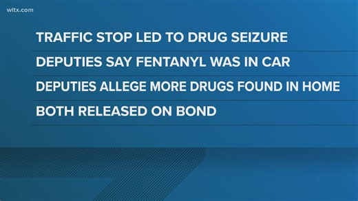 Traffic stop leads to drug seizure in Lexington County