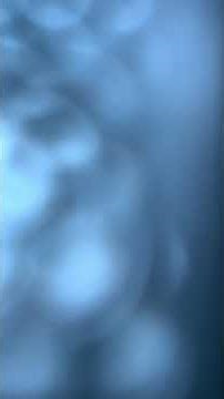 Achim Reichel - „ Aloha Heja He“. / Yamaha PSR S 770 (Cover by Claus Schell