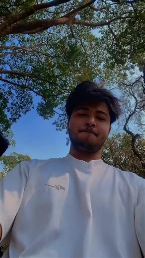 Exploring Face Morphing Techniques with CTG Musher