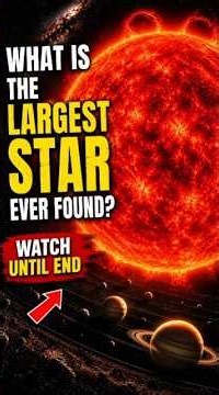 ⭐ What Is the Largest Star Ever Found? 🌌#shorts #nasa #spacefacts