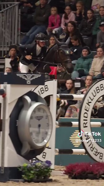 Understanding Horse Jumping Techniques and Strategies