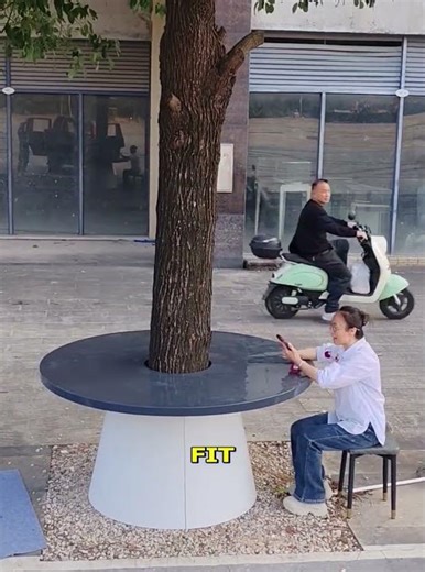 Eco-Friendly Tables That Hug Trees!.