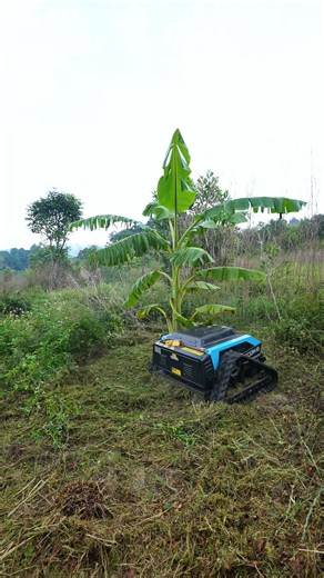 39K views · 202 reactions | Koham on Reels | Facebook