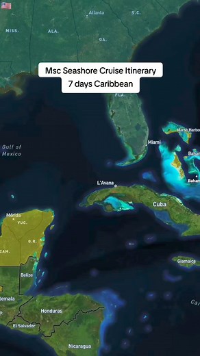 87K views · 320 reactions | Msc Seashore Cruise Itinerary 7 days...