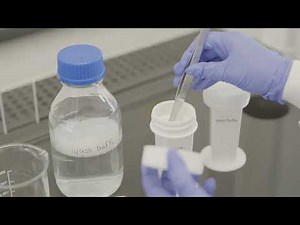 Proteintech Protocols: Immunohistochemistry