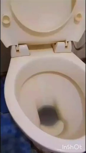 Effective Cleaning Solutions for Stained Toilets and Tiles