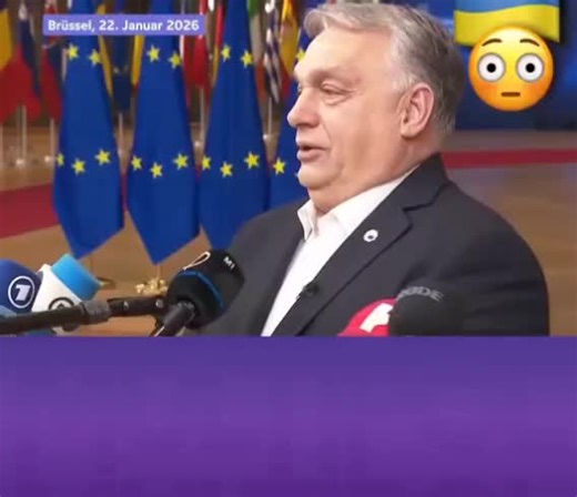 Sonja Weger (@sonja.weger1)’s videos with Originalton - Sonja Weger