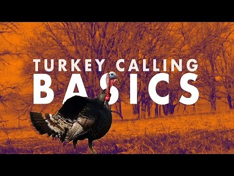 Turkey Calling Basics | Box vs Slate vs Diaphragm