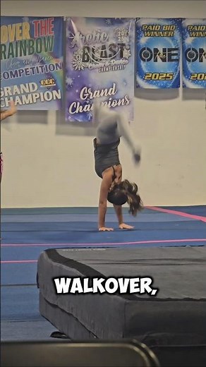 Crazy Tumbling Private: Walkovers, Back Handspring, Bow & Arrow & More!