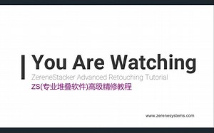 ZS高级精修教程