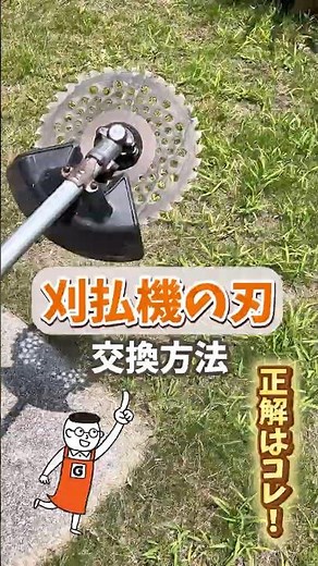 A must-see for beginners! How to replace and choose lawnmower blades! #shorts