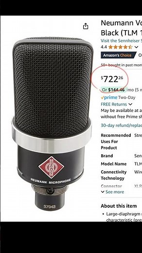 You Should Buy The Neumann TLM 102 ONLY IF…