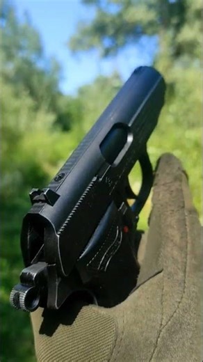 Walter PPK precision shooting breakdown #guns #training