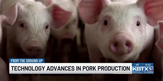 From the Ground Up: Technology Advances in Pork Production