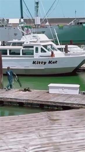 Essential Tips for Dog Lovers and Caregivers