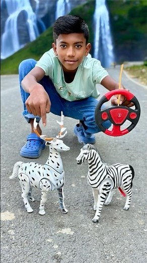 Eguta Rc Deer 🦌Vs Remote Ka Zebra🦓 Duita Unboxing 🥺