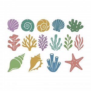 Sea Shell Embroidery Design, Ocean Coral Sea Machine Embroidery File, 15 Design, 8 Size, Instant Download - Etsy