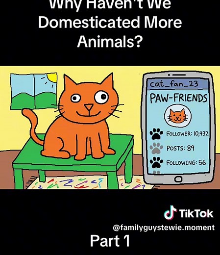 Why Haven't We Domesticated More Animals?