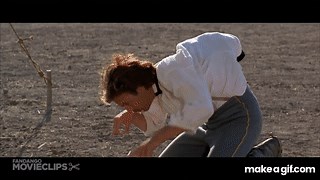 Dances with Wolves (6/11) Movie CLIP - Tatanka (1990) HD on Make a GIF