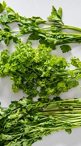 112K views · 2K reactions | Parsley, wansoy, and kinchay are the Spiderman pointing meme of food.  Watch our guide at least 10x to never have to wonder which is which again. ^ | Pepper.ph | Facebook