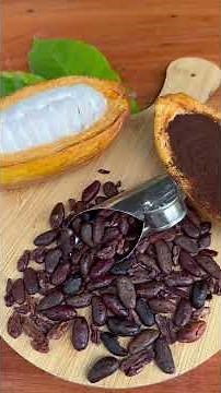 Bendito Cacao