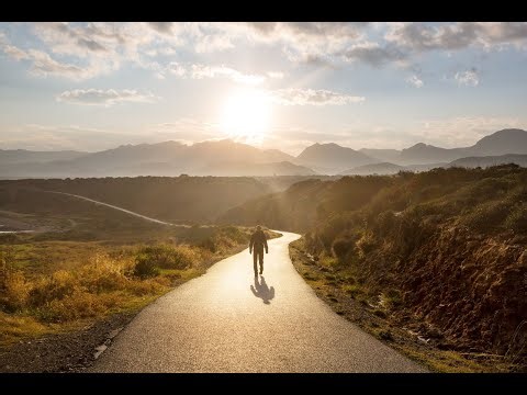 Road to Resilience: A Sneak Peek