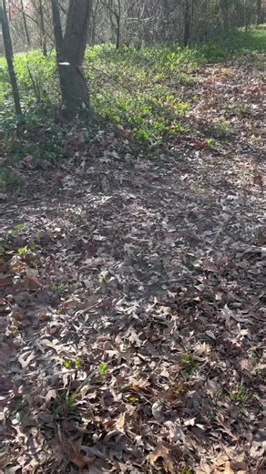 Building a cabin without gaps