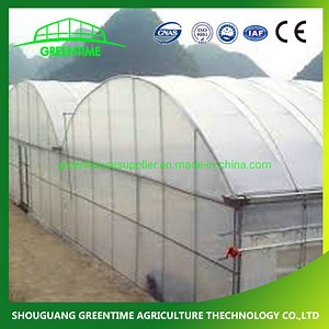 [Hot Item] Multi Span Arch Type Greenhouse with Cooling System