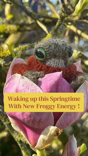Spring Awakening #cute #botanylovers #froggyfriday