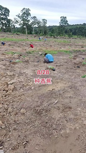 Rural Farming Practices in Agricultural Setting