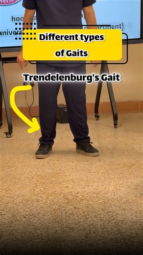 HoopitaL Physiotherapy on Instagram‎: "Types of gaits Move better / live better💚💚 Follow for more #physiotherapy #medschool #medical #پزشکی #university"‎