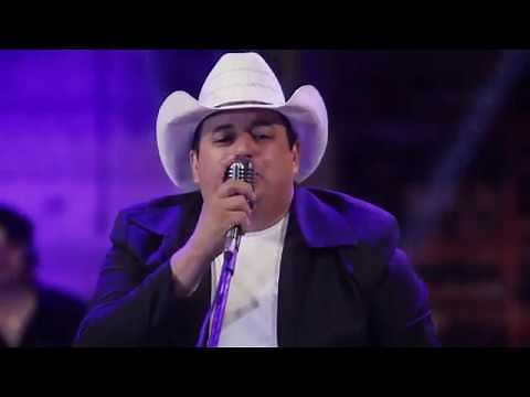 DVD - Grandes Sucessos do Sertanejo Raiz - Banda Show Da Viola