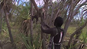 106K views · 1.2K reactions | Heres some BEHIND THE SCENES action ....pretty funny. If your OS and wanna watch the series go here........ www.blackas.vhx.tv | Outback Boys | Facebook