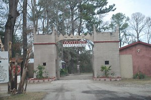 The South Carolina Yoruba Village of Oyotunji - This Is My South