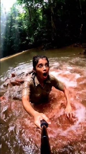 Piranha Feeding Frenzy Attack