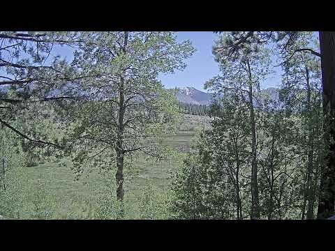TPH - Johnson Meadow - SeeTahoe Live Webcam🔴