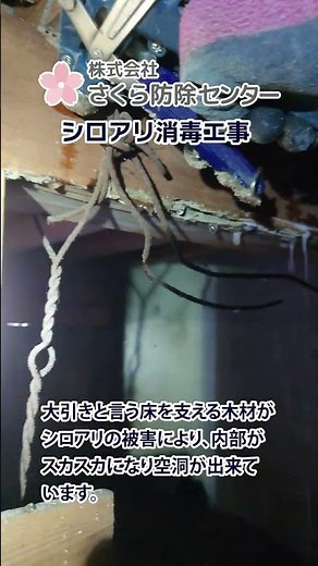 【シロアリ駆除・消毒工事】千葉県の害獣・害虫駆除の専門業者｜さくら防除センター