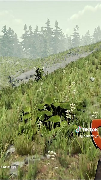 Как получить карту и катану в The Forest