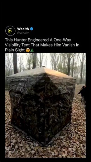 Wealth on Instagram: "This tent lets you see everything while staying almost invisible from the outside is a real tactical advantage in the wild. 🏹🌲 This design uses a one-way visibility fabric that filters light in a single direction. From the inside, the hunter gets a wide, unobstructed view of the entire environment. From the outside, the structure reads as solid camouflage, making movement inside nearly impossible to detect. Setups like this are used when even the slightest motion can aler