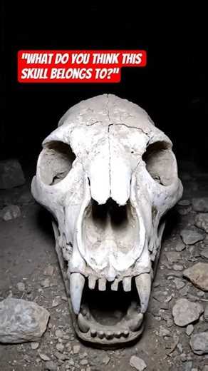 Ancient Skull Found in Abandoned Ruins | POV