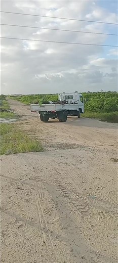 David Thomas (@david.thomas8364)’s videos with original sound - David Thomas