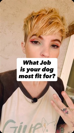 An interesting test to determine what Job a dog will do best in, one you can try at home with your own dog. #servicedog #positivereinforcementdogtraining #dogtraining #dogbehavior #forcefreedogtraining #science | Give a Sit Dog Training