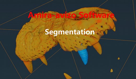 10. Segmentation