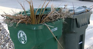No fines for brush piles as city announces collection program