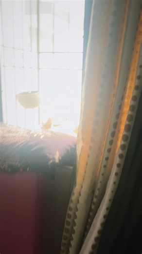 Shraddha R Nalinde🩷Mumbai 🏆 on Instagram: "Majhi jar satakli tar hya bokyala me zapkaven. Majhya bittu cha dushman ha majha dushman . Bass!!! #cats_of_instagram #catfight #cats_of_world"